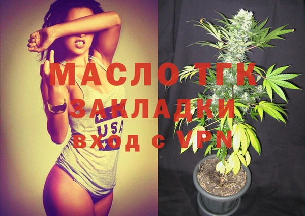 гидра Бородино