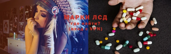 гидра Бородино