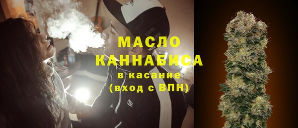 гидра Бородино