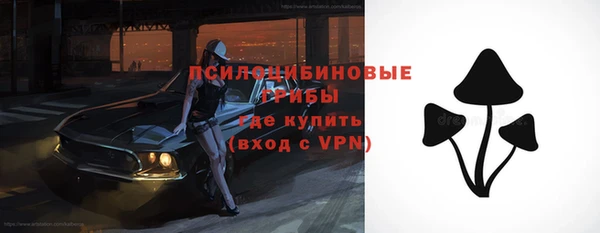 гидра Бородино