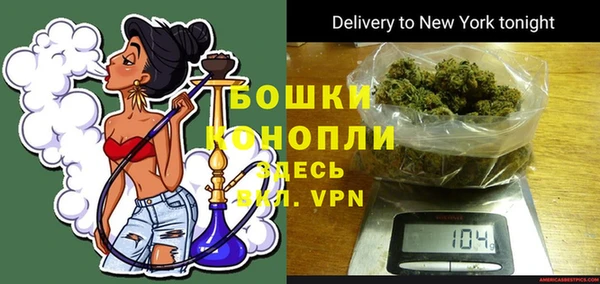 гидра Бородино