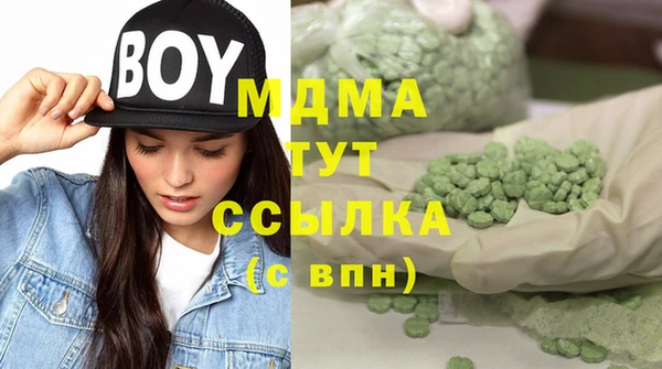 гидра Бородино