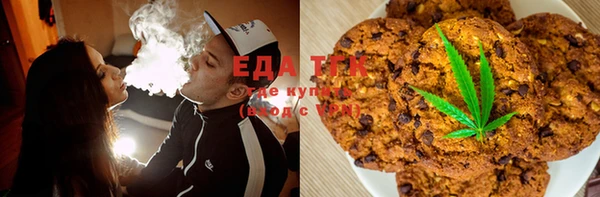 гидра Бородино