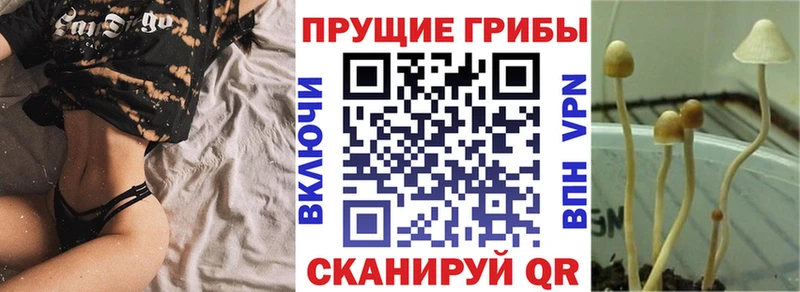Псилоцибиновые грибы Magic Shrooms  Купить  Янаул 